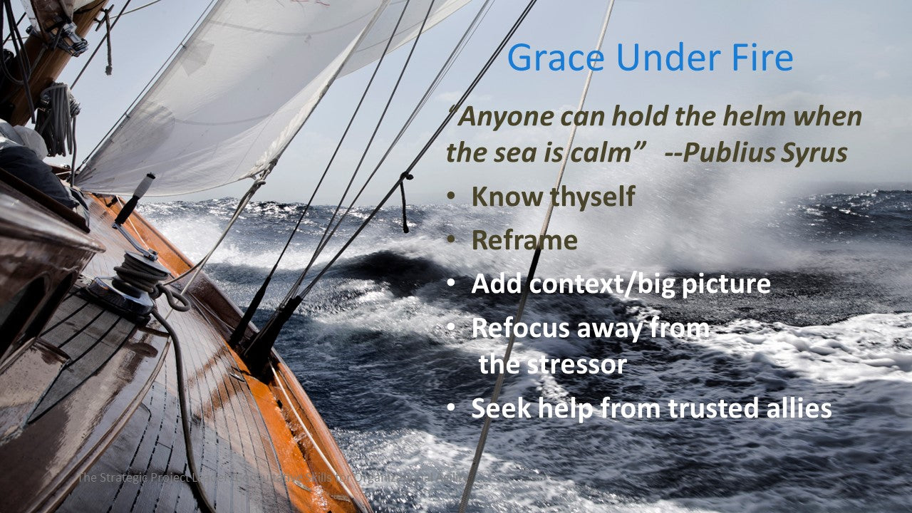 The Strategic Project Leader: Consultative Skills for Organizational Agility