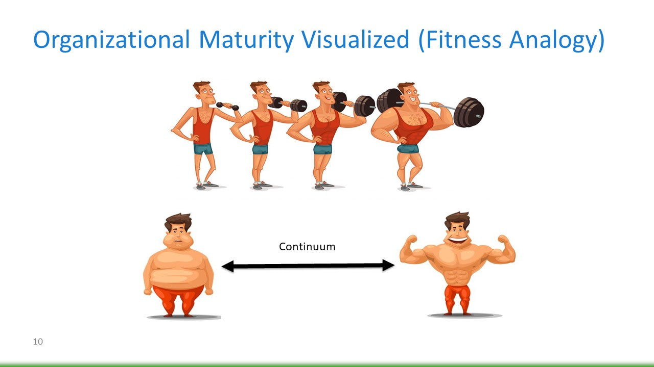 Organizational Maturity and Project Management