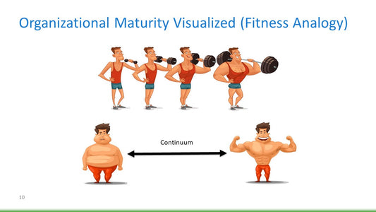 Organizational Maturity and Project Management
