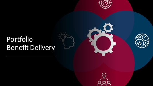 Portfolio Benefit Delivery