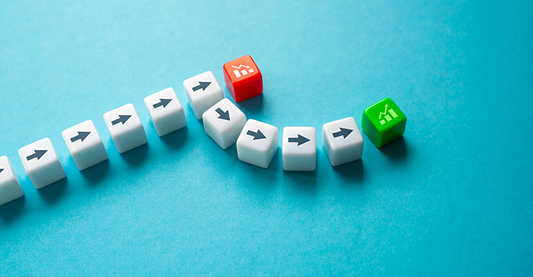 Value of a Project Plan: Mitigating Risks and Maximizing Opportunities
