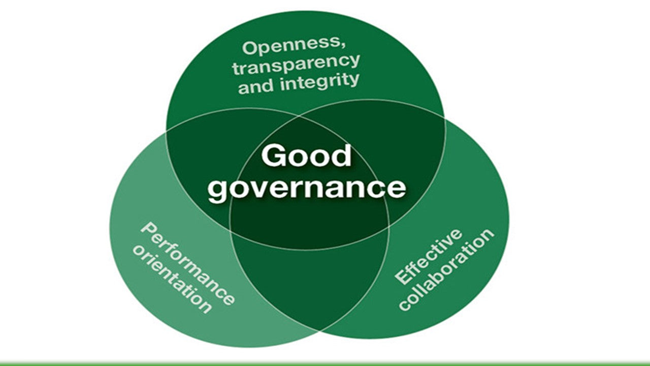 Simple, Lightweight and Effective Governance for Projects and Project ...