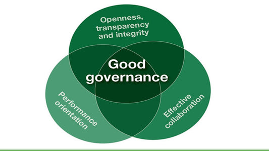 Simple, Lightweight and Effective Governance for Projects and Project Portfolios